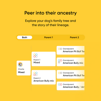 Embark Dog DNA Test